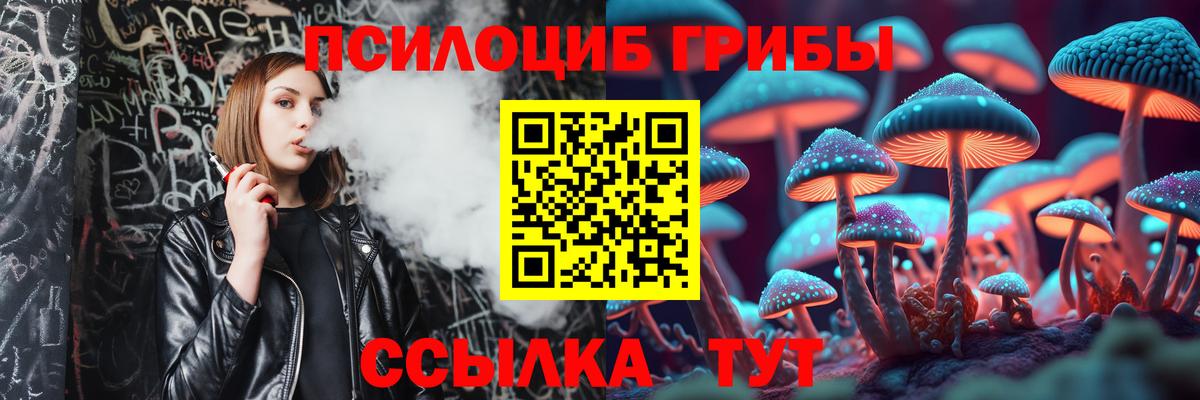 Еманжелинск  Галлюциногенные грибы прущие грибы  Вход с VPN  Псилоцибиновые грибы Psilocybine cubensis 